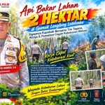 Api Bakar Lahan 2 Hektar di Gumuk Lengleng Ledokombo, Sigapnya Kapolsek Bersama Tim Tagana, Warga & Pemadam Cegah Kebakaran Meluas
