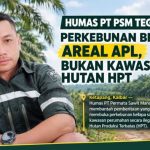 HUMAS PT PSM Tegaskan Perkebunan Berada Di Areal APL, Bukan Kawasan Hutan HPT
